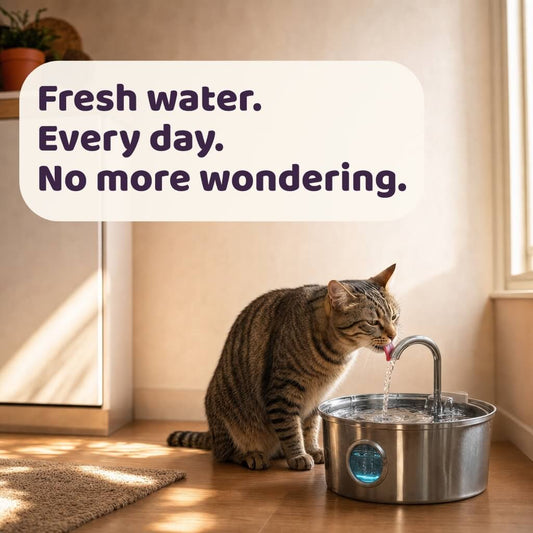Purrsteel Fresh Water Fountain