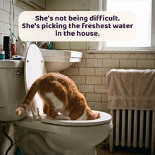 Purrsteel Fresh Water Fountain