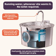 Purrsteel Fresh Water Fountain