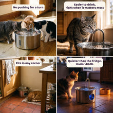 Purrsteel Fresh Water Fountain